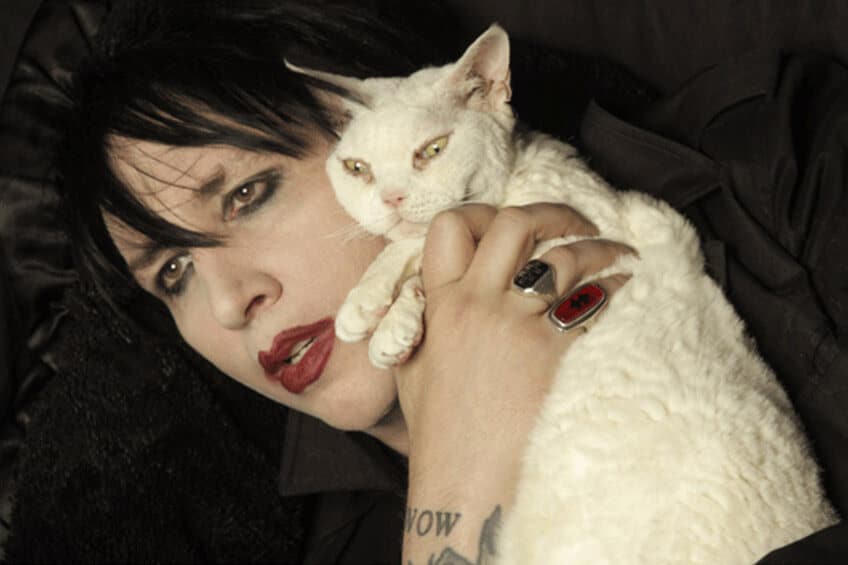 Cicák és celebek – Marilyn Manson